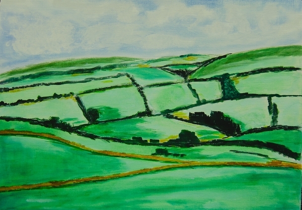 Belfast Fields $140