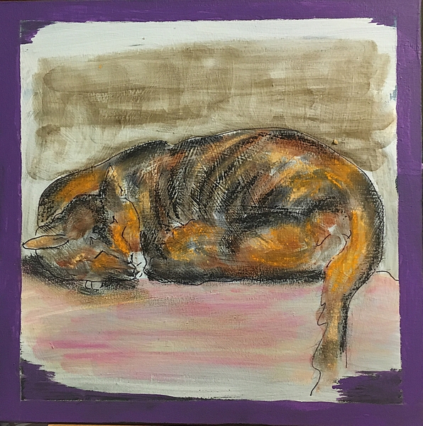 Kitty on the Couch. Amsterdam $100