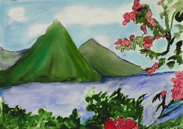 St Lucia   After APT $90